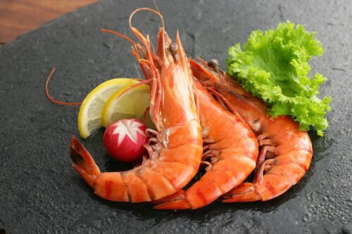 shrimp, seafood, ocean-4952610.jpg